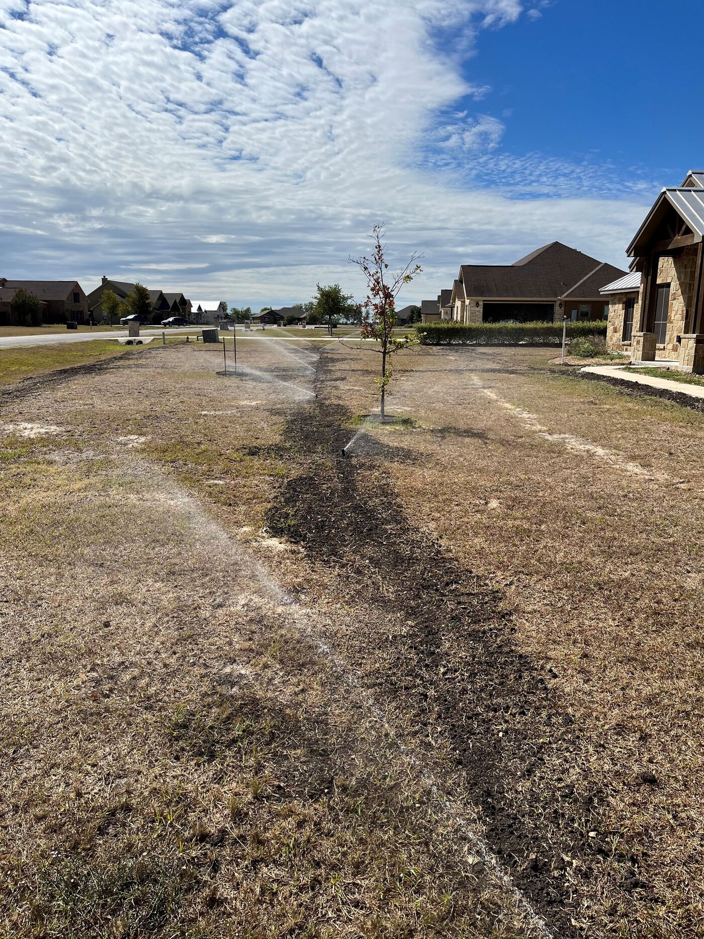 A newly installed irrigation system running across a bare front lot with a young tree and fresh trench lines