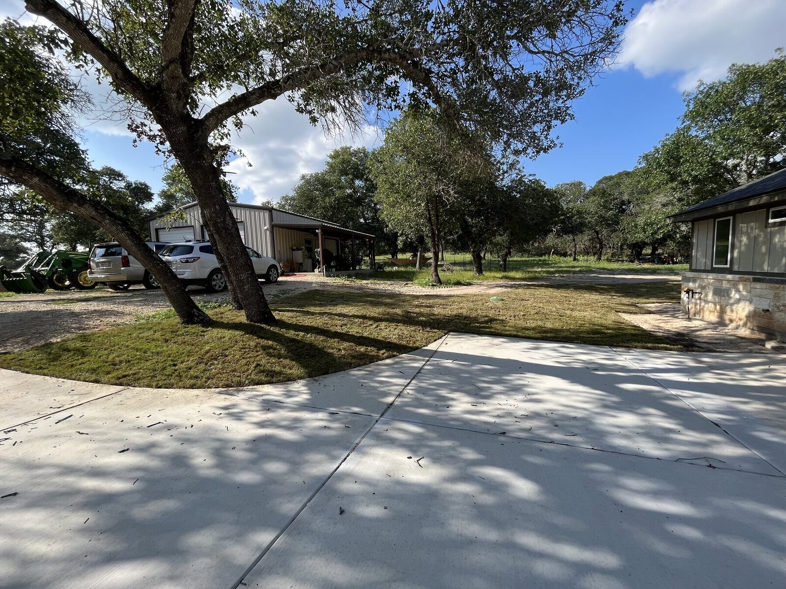 New sod laid under mature live oaks beside a wide concrete drive, with a metal shop building beyond